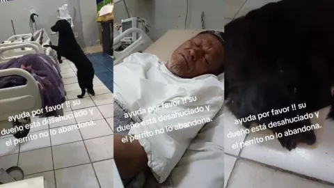 Hombre desahuciado en hospital ruega que adopten a su perro