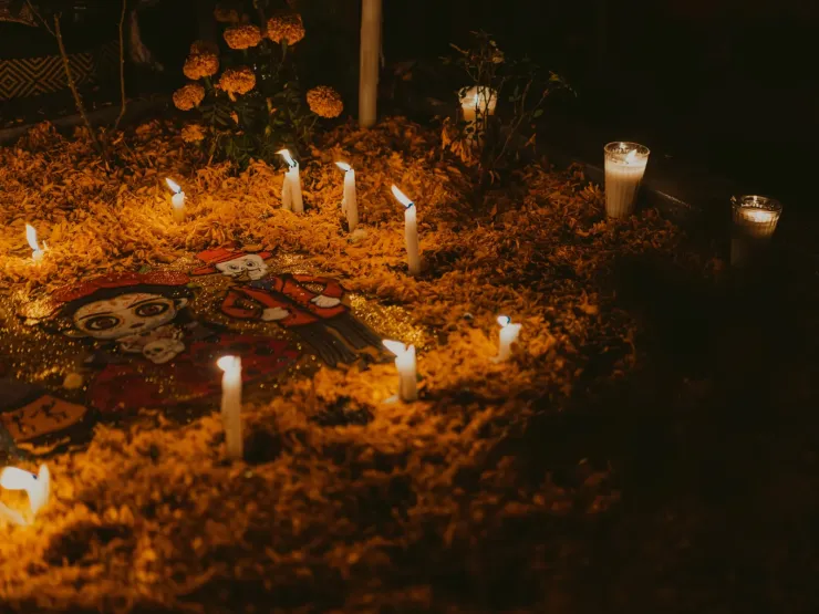La flor guía a los seres queridos