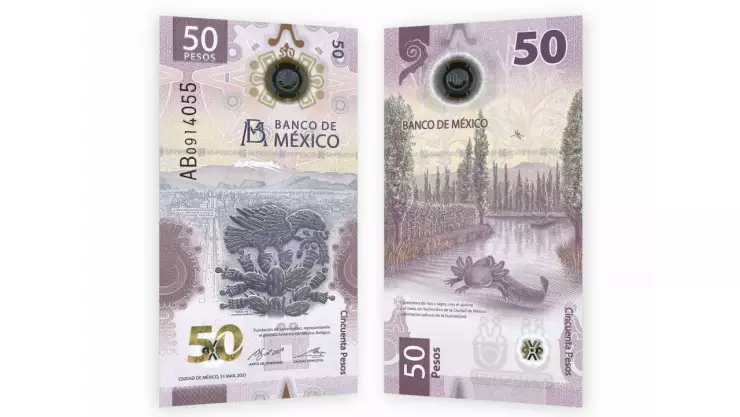 Venden billete del ajolotito de 50 pesos en 500 mil pesos