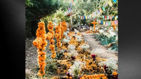 Día de muertos en bc 2024