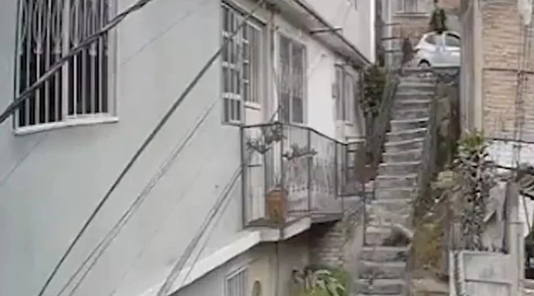 Captan brutal maltrato animal contra perro en Naucalpan: ‘Lobito’ sobrevive arrojado por escaleras VIDEO