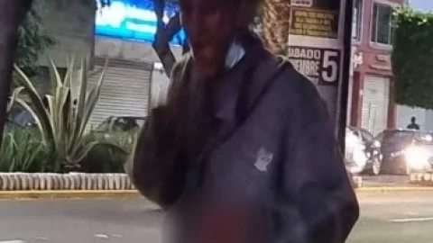 Reaparece en las calles el comegatos de la Ciudad de México