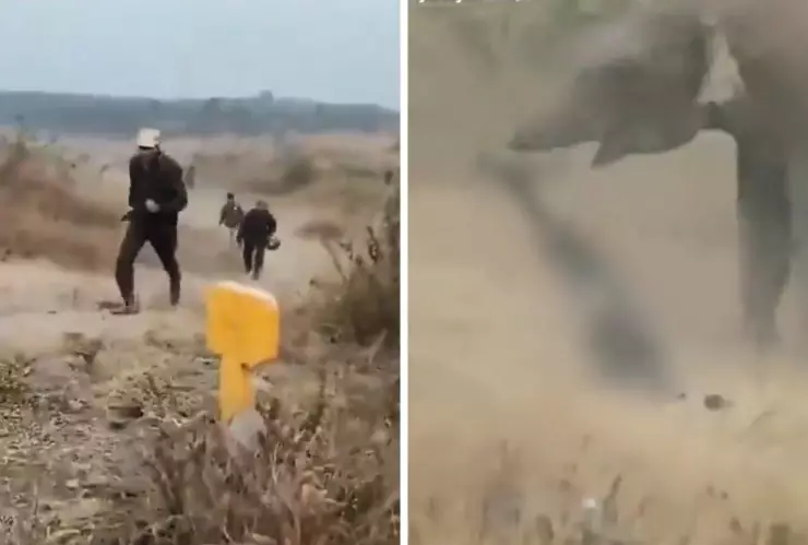 El incidente ocurrió cuando un turista se acercó a un elefante fuera de la ruta permitida