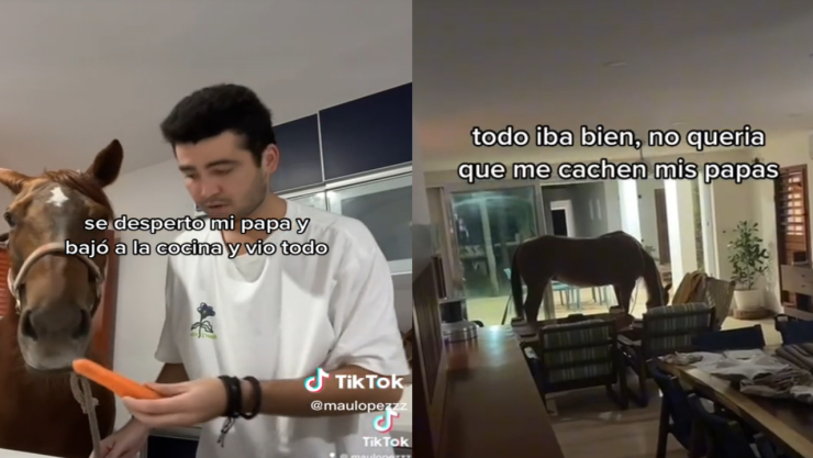 Joven mete caballo a su casa después de irse de rumba