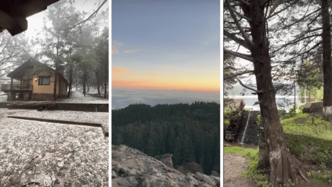 Los 3 Pueblos Mágicos con los bosques más impactantes en México, según la IA.png