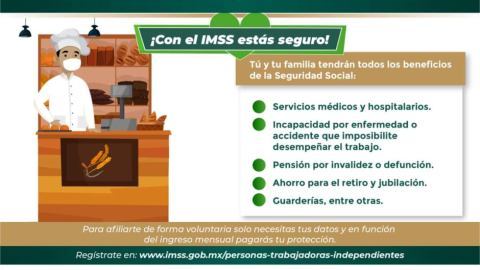 trabajadores independientes IMSS