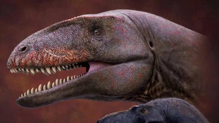 Dinosaurio, tiburón, T-Rex b.jpg