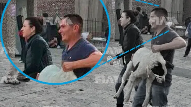 VIDEO: Perritos peregrinos sufren maltrato por trabajadores de la Basílica de Guadalupe