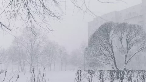 Tormenta invernal.jpg