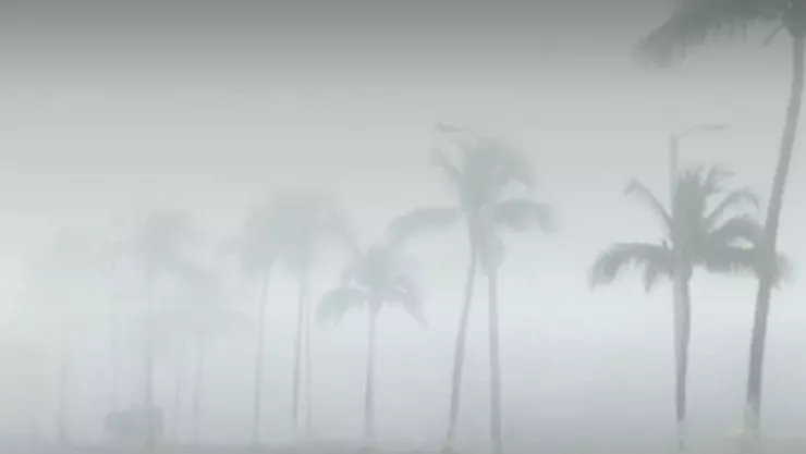 niebla en Veracruz