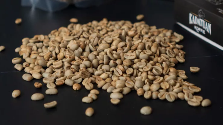 El café más caro del mundo se hace con heces de animal este es el Kopi Luwak.jpg