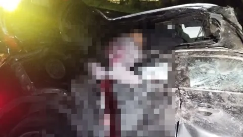 VIDEO: Familia murió tras accidente en la autopista México-Puebla hoy; se incrustó contra puente en La María