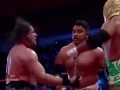 Lucha Libre AAA bull terrier match