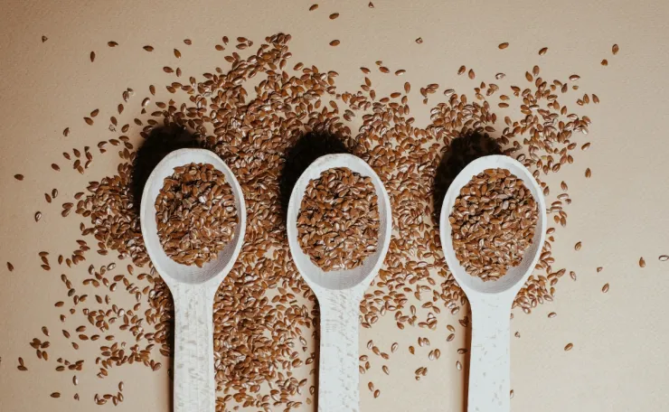 alimentos probióticos prebióticos salud intestinal