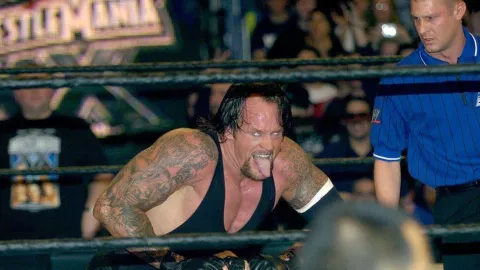 Undertaker luchador wwe