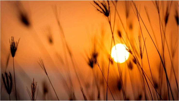 ¿Lo sabías_ Esta es la diferencia entre solsticio y equinoccio