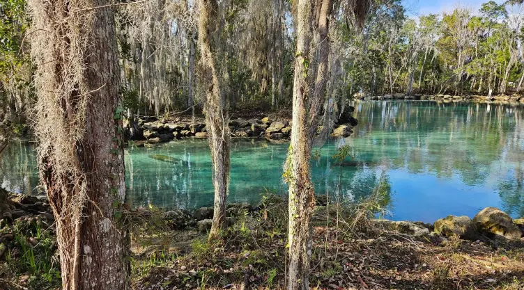 Three Sisters Springs, Florida
