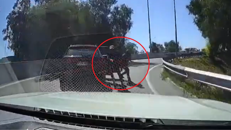 Atropellan a presunto ladrón en carretera.png