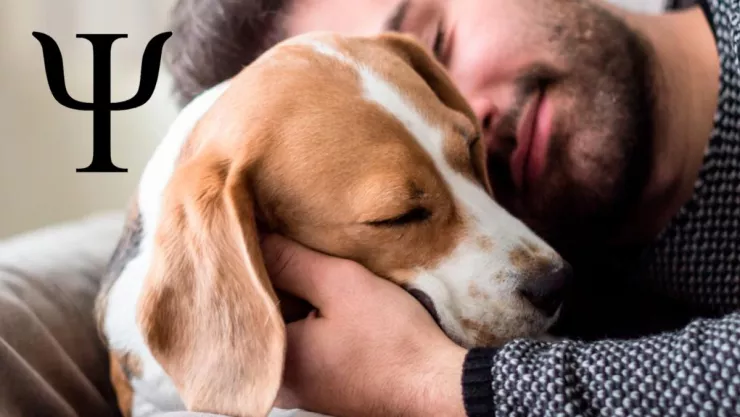 que-significa-alguien-gusten-mucho-perros-segun-psicologia-pbg-notas-mt