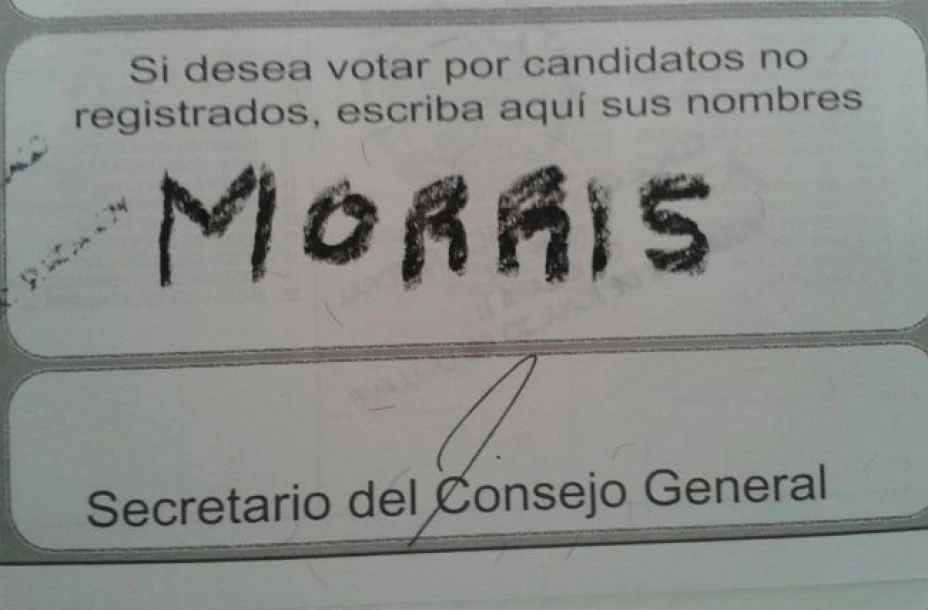 El candigato a la presidencia municipal de Xalapa fue el primer animal en postularse y darse a conocer