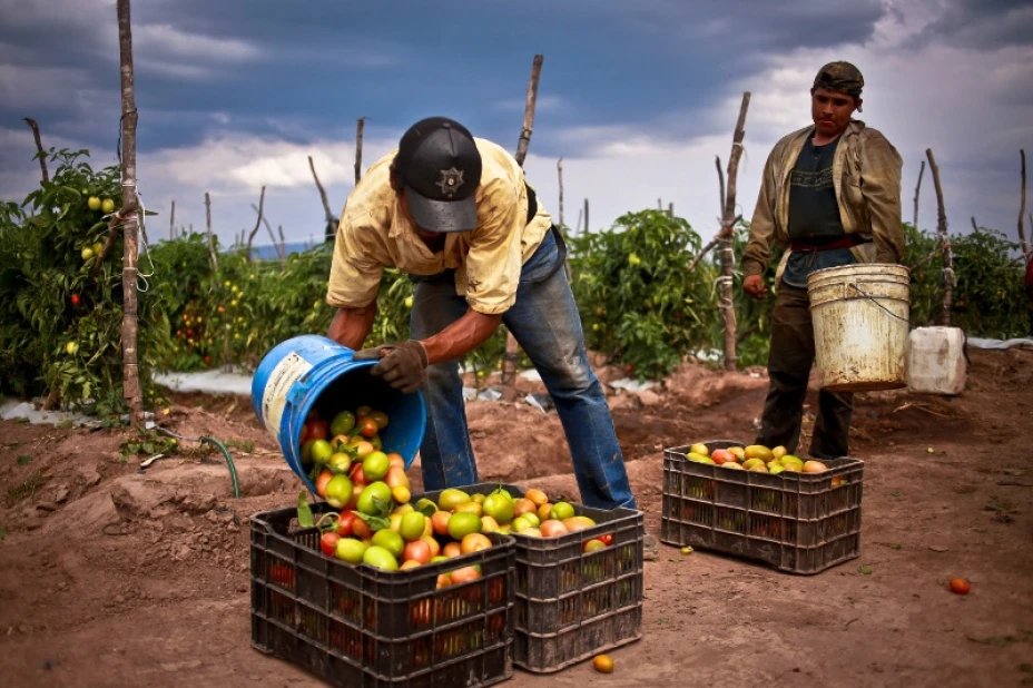 Alimentos-México