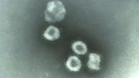 Nariz artificial COVID-19 2.jpg