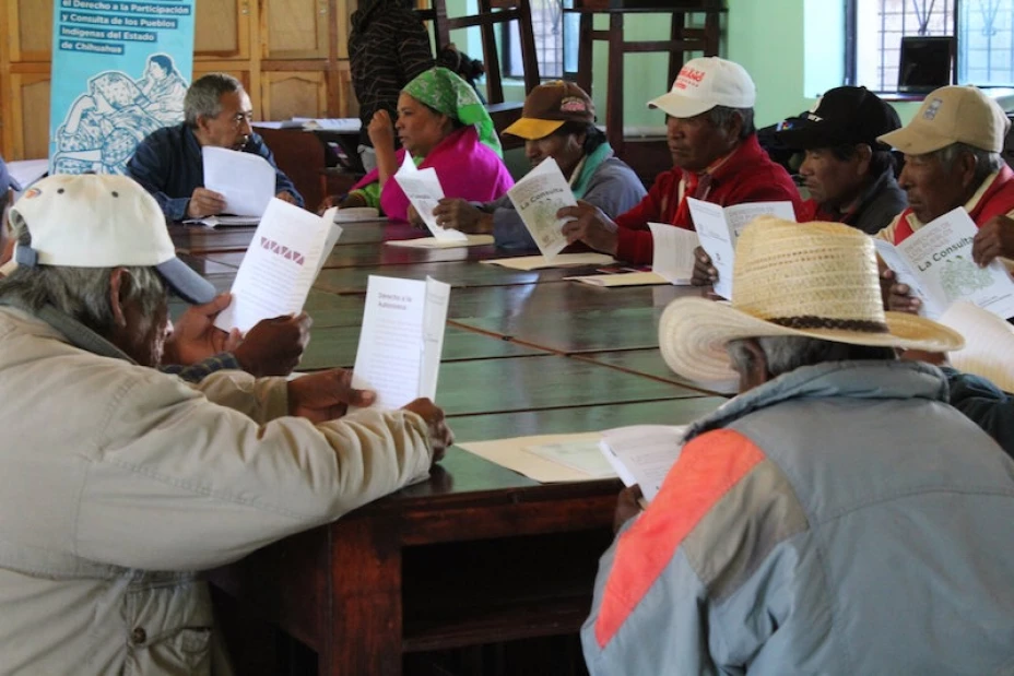 Llengua materna indígena