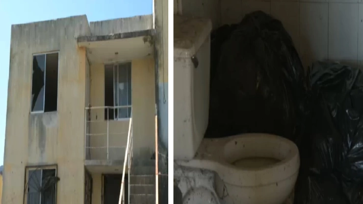 Denuncian a mata perros en Tala, encontraron restos de al menos 50 animales.jpg