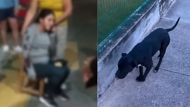 Perro ataca a una mujer en Bosques de Chapultepec