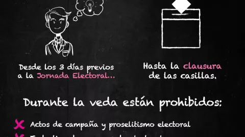 qu&eacute; es la veda electoral