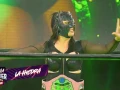 Lucha Fighter