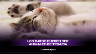 WhatsApp Image 2025-11-10 at 11.56.25 AM.jpeg