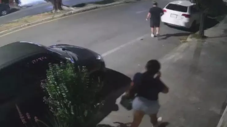 Por presuntamente robarse un cachorro de pitbull, detienen a una pareja