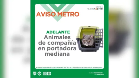 Metro-CDMX-perros-vias-que-hacer