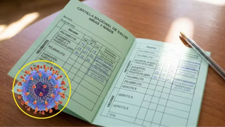 Dosis Cero sarampión en México: Guía para bebés 6 a 11 meses