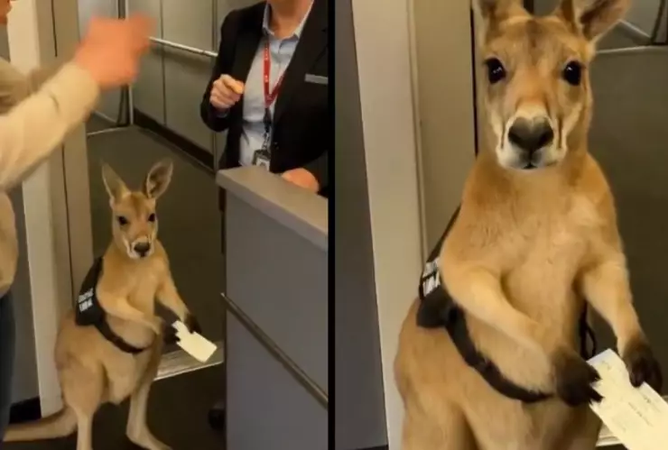 ¿Es real o es IA? Así puedes identificar si un video está hecho con inteligencia artificial