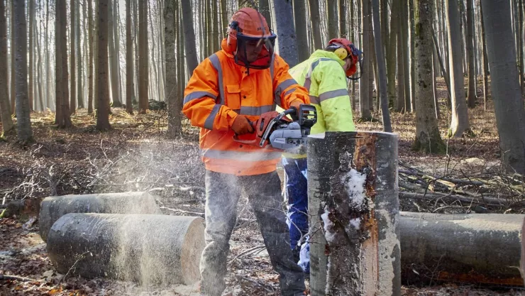 Estos trabajadores van a tener menos aguinaldo en 2024