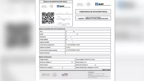 Ejemplo de Constancia de Situación Fiscal