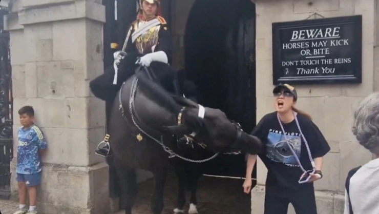 Video-caballo-de-la-Guardia-Real-muerde-a-una-turista-cuando-intentaba-tomarse-una-foto
