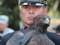 AMLO devela placa por los 200 años del Heroico Colegio Militar