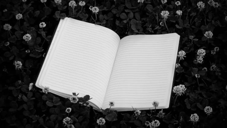 Día Internacional de la Poesía Hombres necios que acusáis… Top de los poetas mexicanos que debes conocer