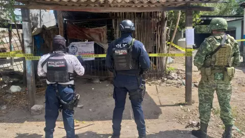 Cumplen una orden de cateo y aseguran drogas en Quintana Roo