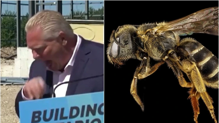 abeja primer ministro Ontario