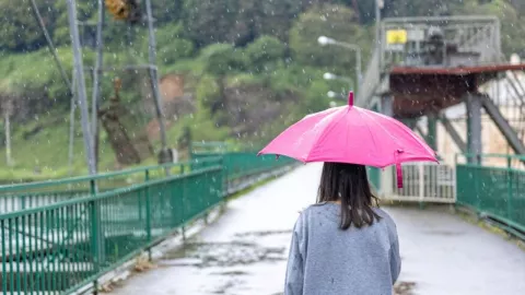 Lluvias Tijuana el miércoles 12, jueves 13 y viernes 14 de febrero de 2025 ¿A qué hora empezará a llover?