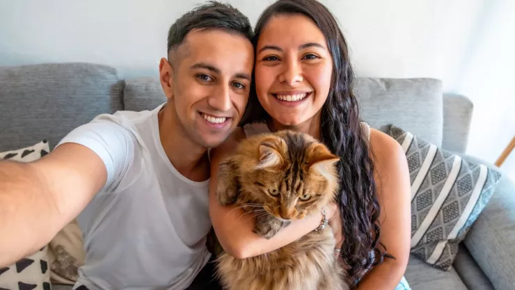 Renta de departamentos CDMX