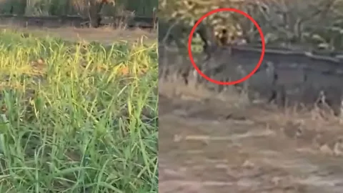 Chaneque en Veracruz