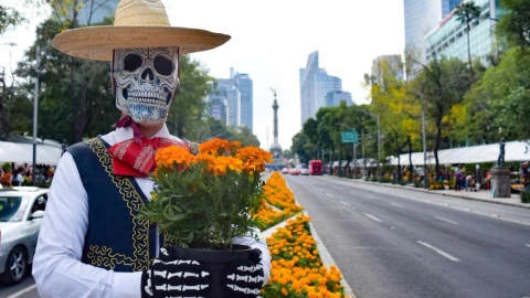 Festival de Flores de Cempasúchil 2024 CDMX: Horario, qué hay y cuándo acaba en Reforma