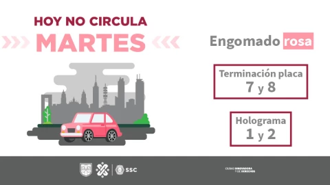 Hoy No Circula: Los autos que descansan el martes