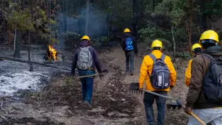 WhatsApp Image 2025-06-12 at 3.43.54 PM.jpeg