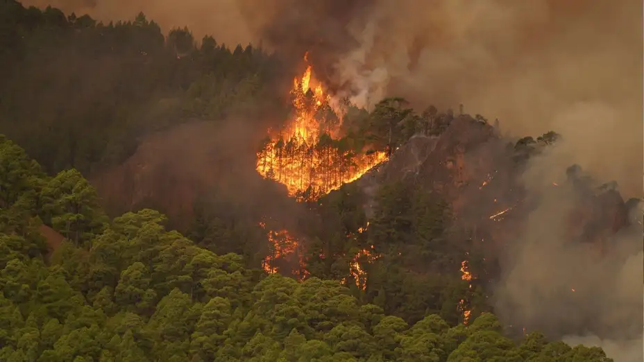 Incendio forestal en Tenerife, España.